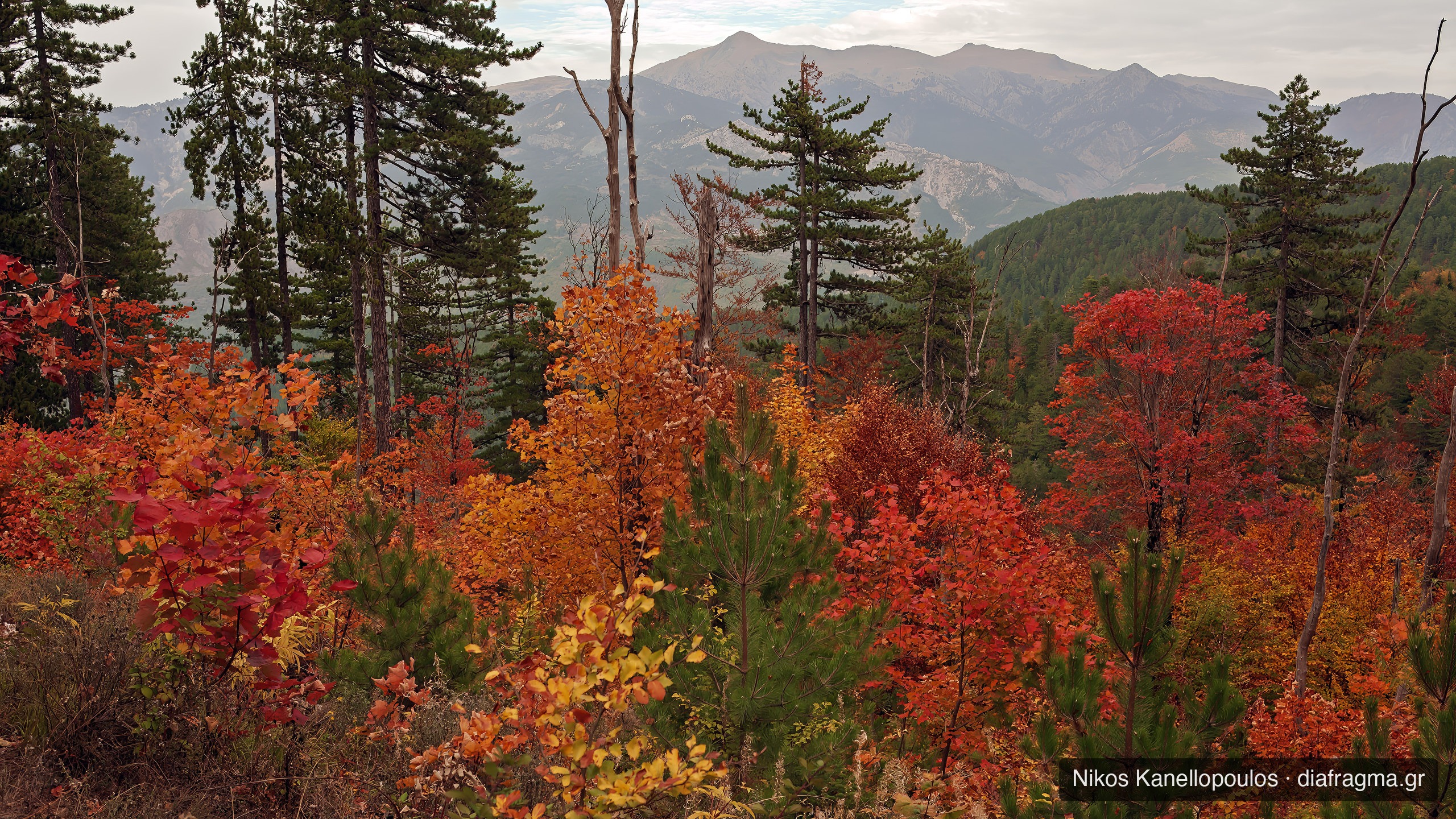 Πεζοπορία στον Ε.Δ. Πίνδου