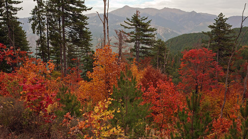 Hiking in Pindos National Park