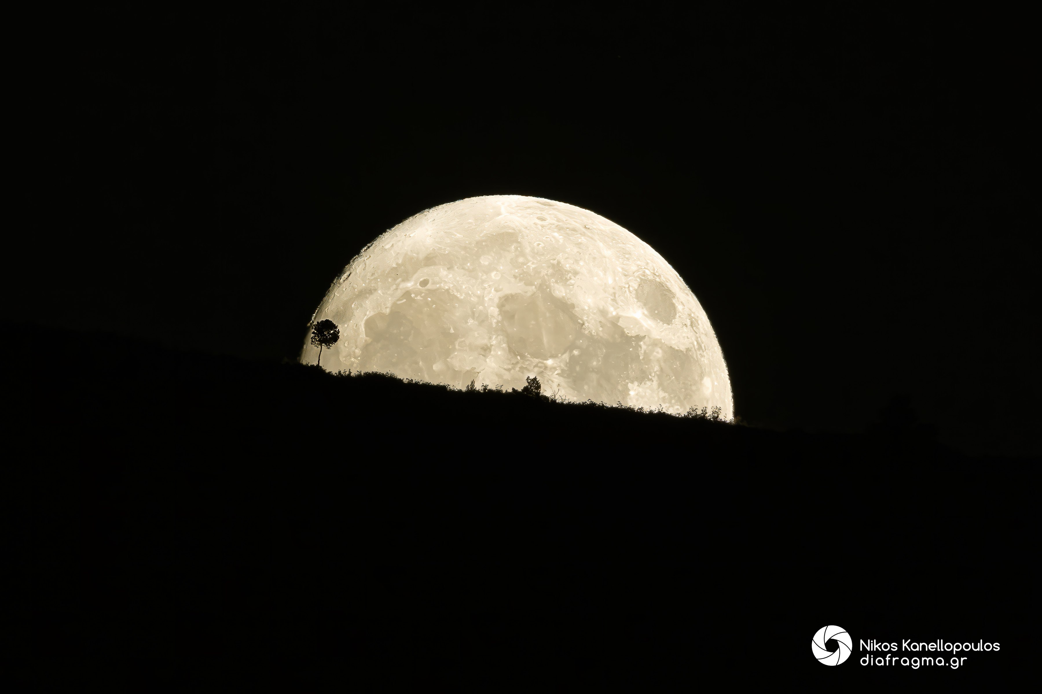 Ένα δέντρο στη σελήνη